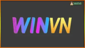 winvn1